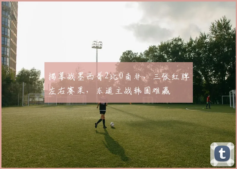 揭幕战墨西哥2比0南非,三张红牌左右赛果,东道主战韩国难赢