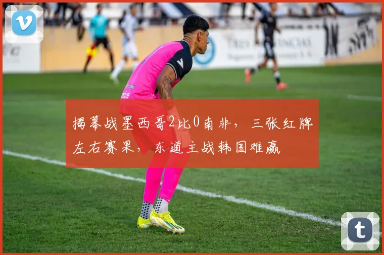 揭幕战墨西哥2比0南非，三张红牌左右赛果，东道主战韩国难赢